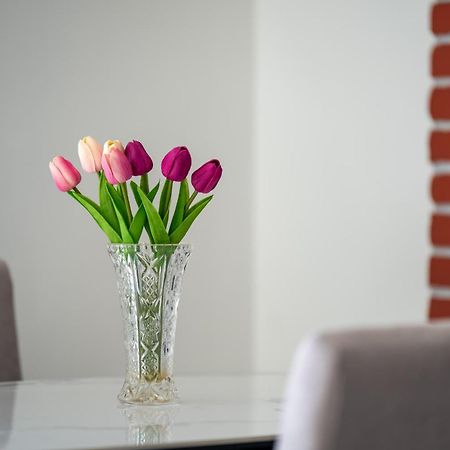 Apartment Gioia Rovinj Ngoại thất bức ảnh