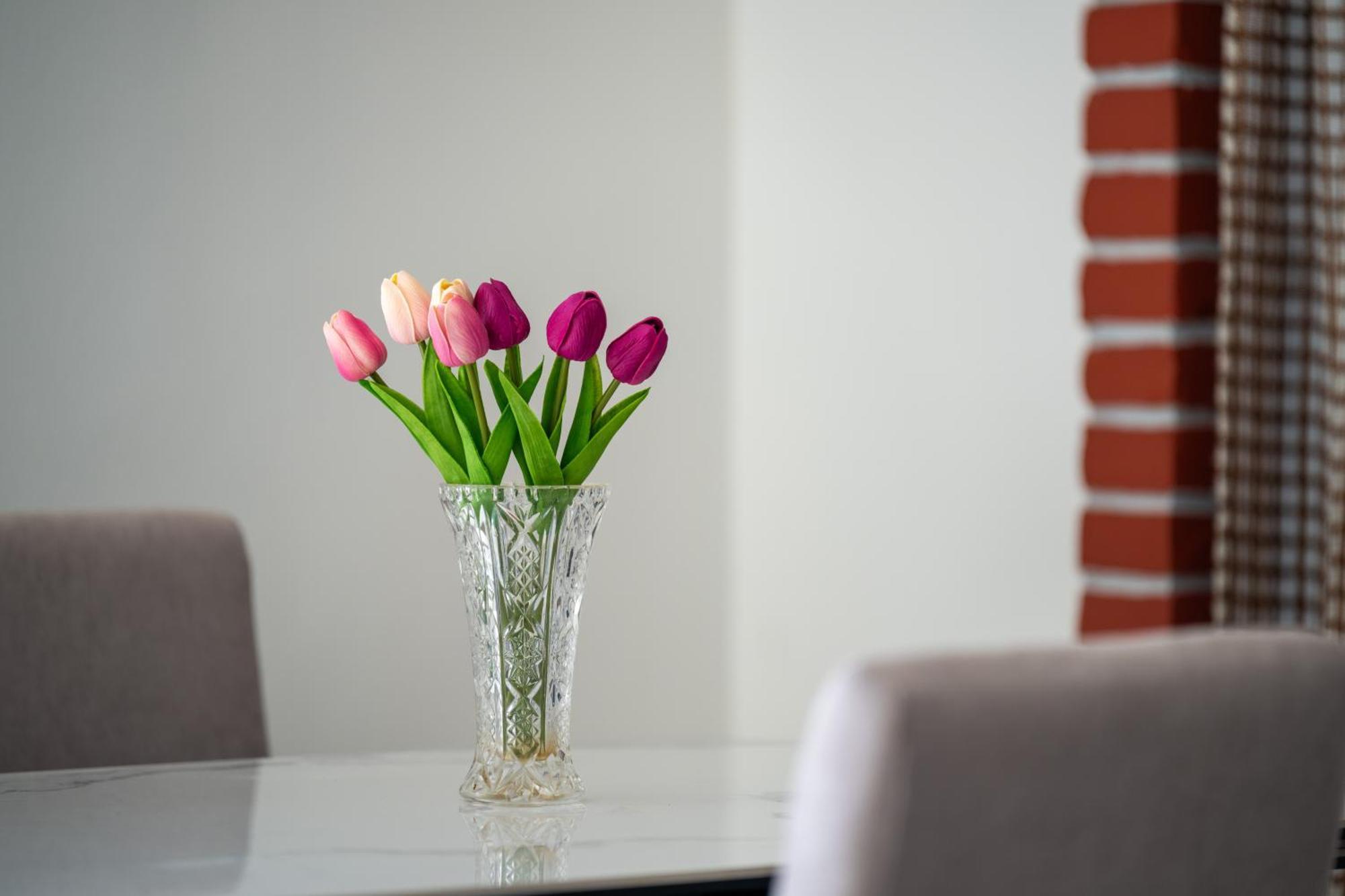 Apartment Gioia Rovinj Ngoại thất bức ảnh